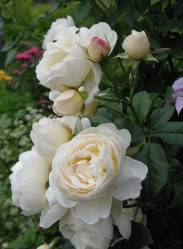 Фото 2