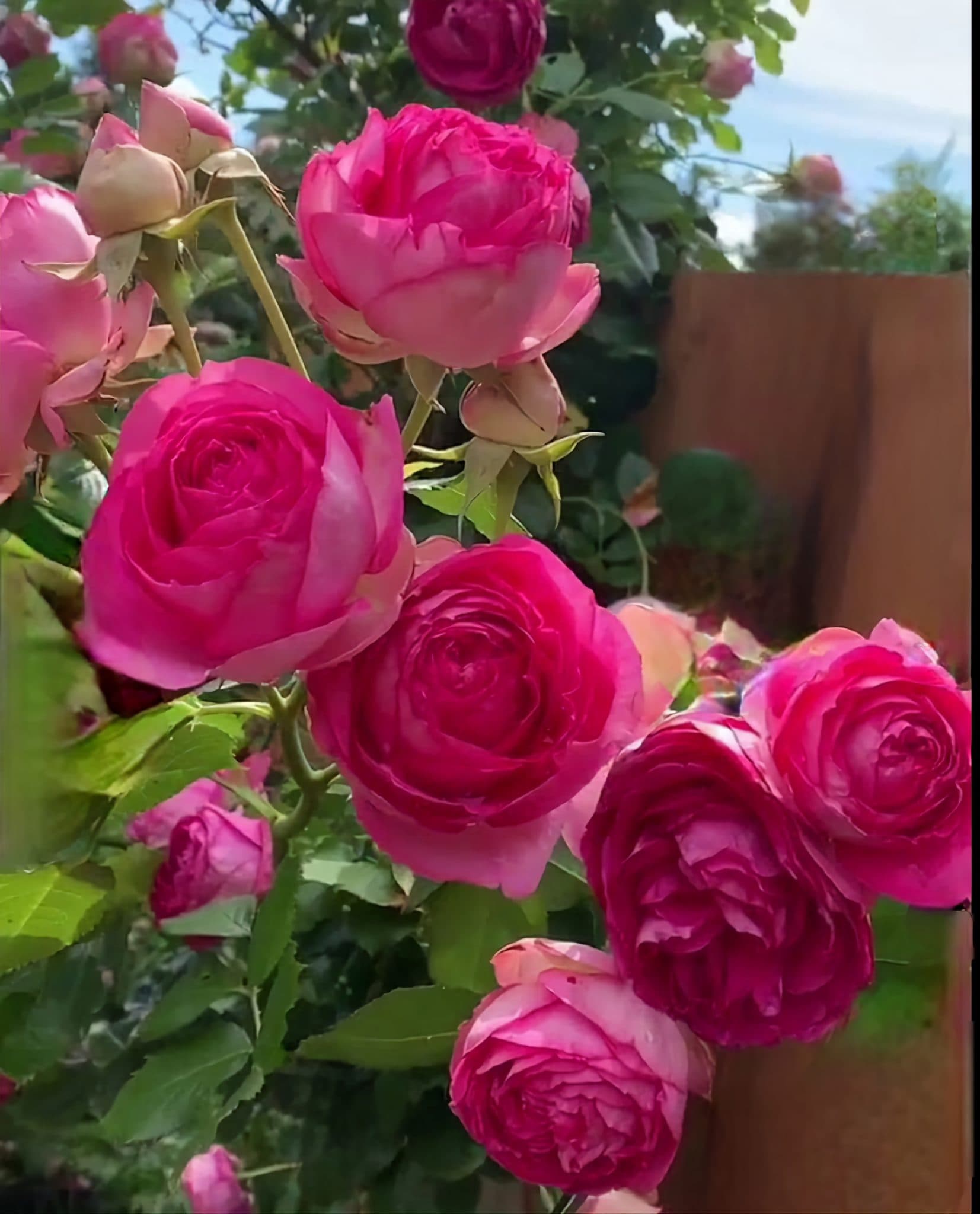 Фото 3
