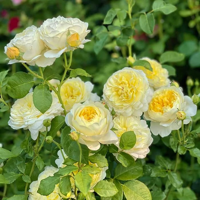 Фото 2