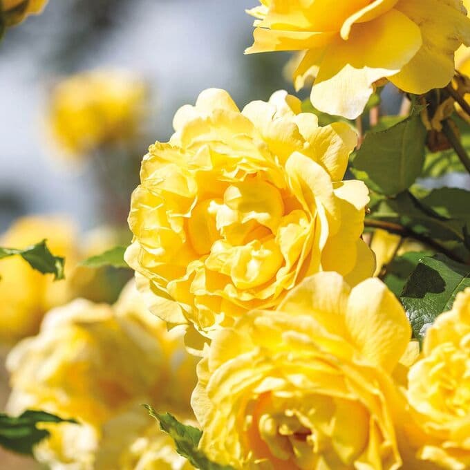 Фото 3