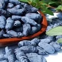 Лазурная