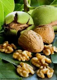 Орех