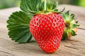 Маригет (Mariguette) 