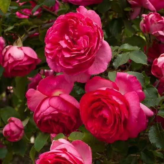 Фото 2
