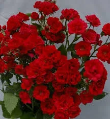 Фото 2