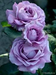 Фото 2