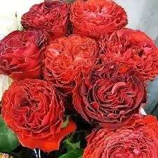 Фото 2
