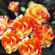 Фото 2