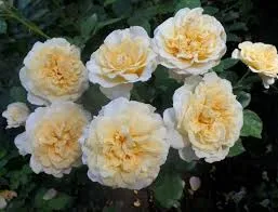 Фото 2