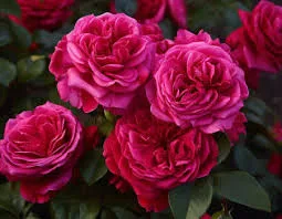 Фото 2