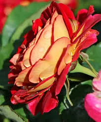 Фото 2