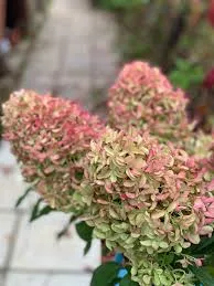 Фото 2