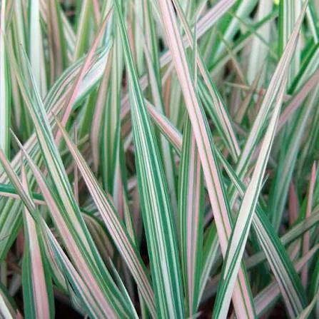 Фото 2