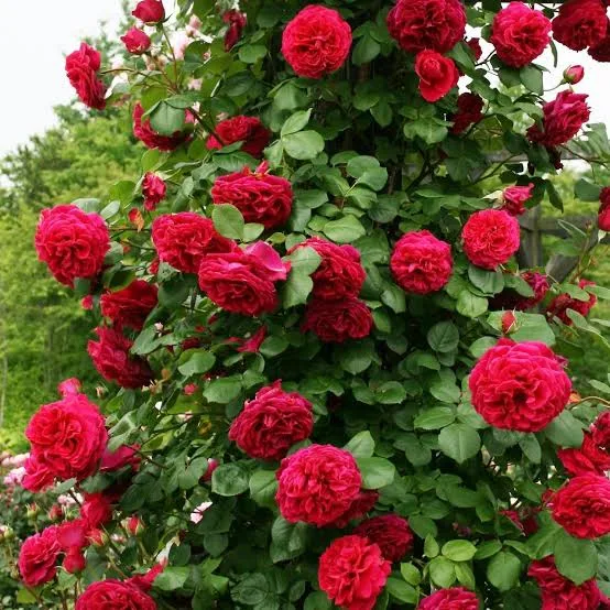 Фото 2