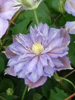 Фото 2