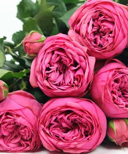 Фото 2