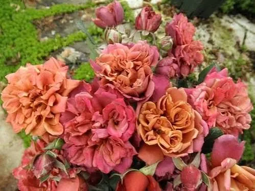 Фото 2