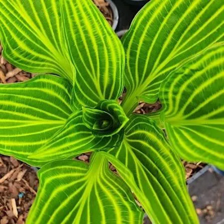 Фото 2
