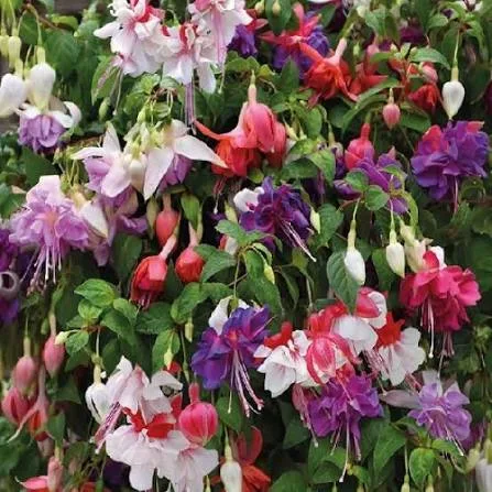 Фото 2