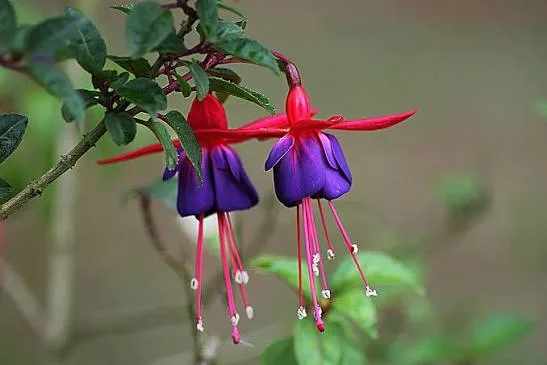 Фото 3