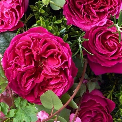 Фото 3