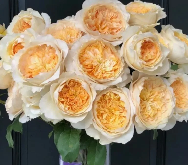 Фото 2