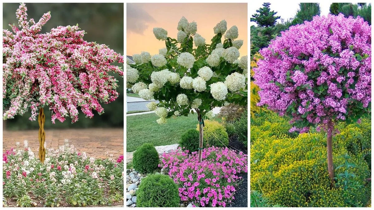 Декоративные