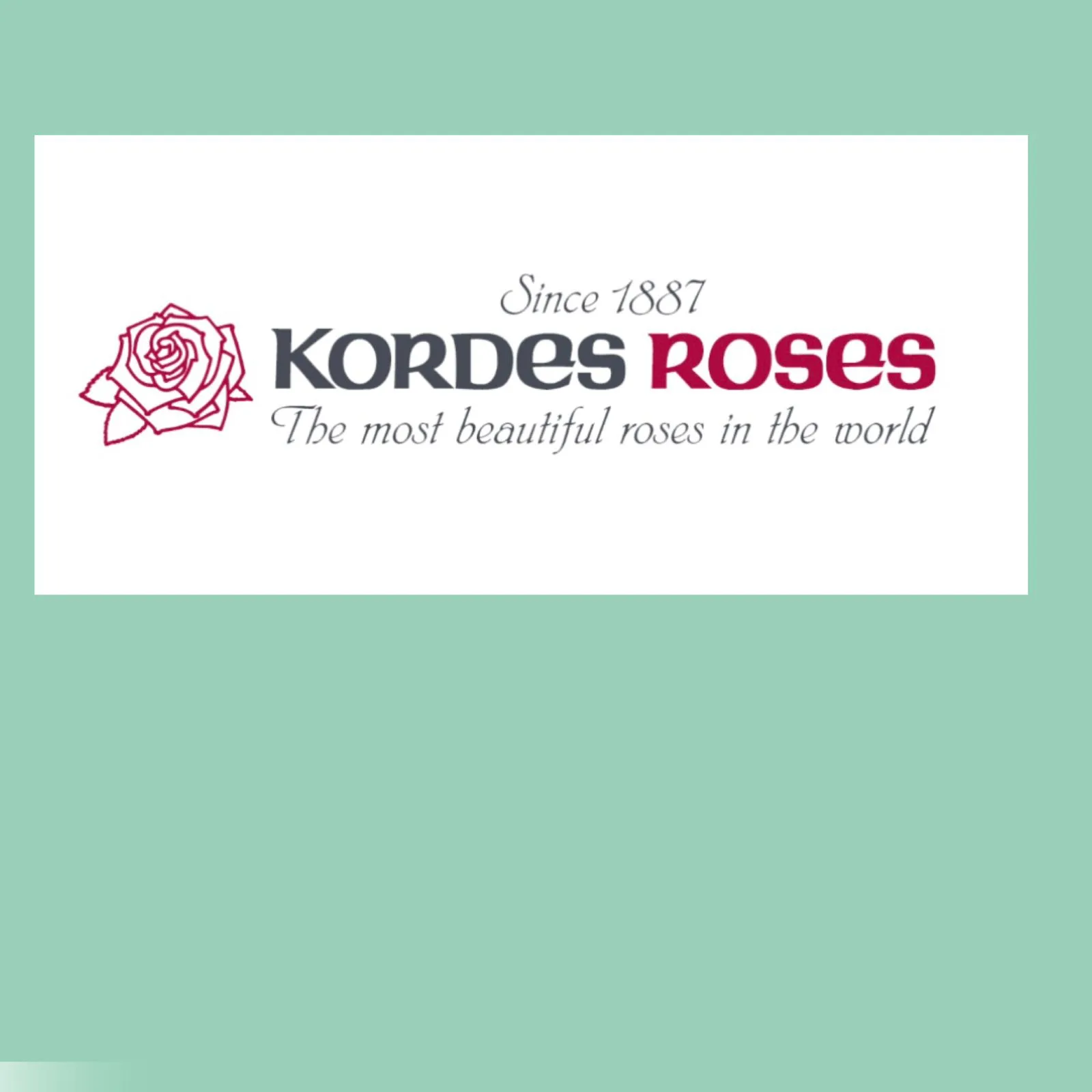 Kordes, Германия