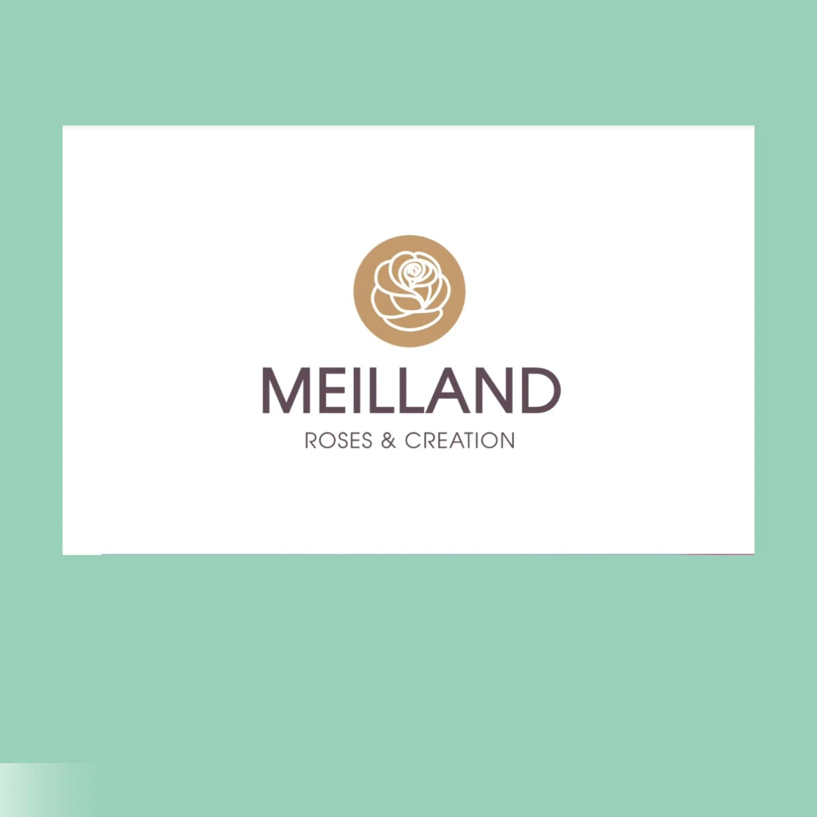 Meilland, Франция