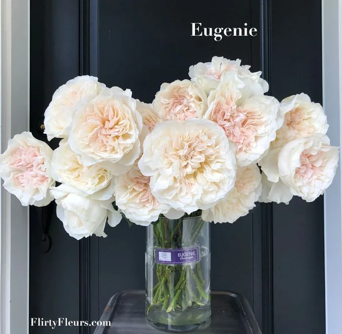 Евгения (Eugenie) D. Austin Великобритания 2019