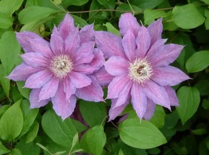 Kathleen Dunford (Кэтлин Данфорд)