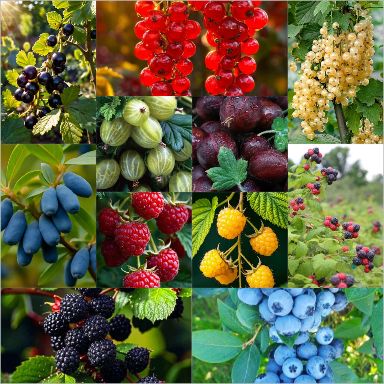 КОМПЛЕКТ №3 16шт- 8000 руб