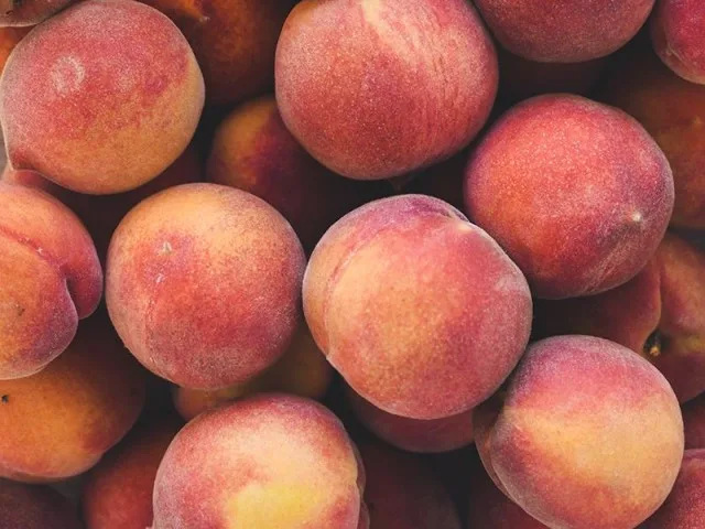 Персик Саммер Рич (Summer Rich)