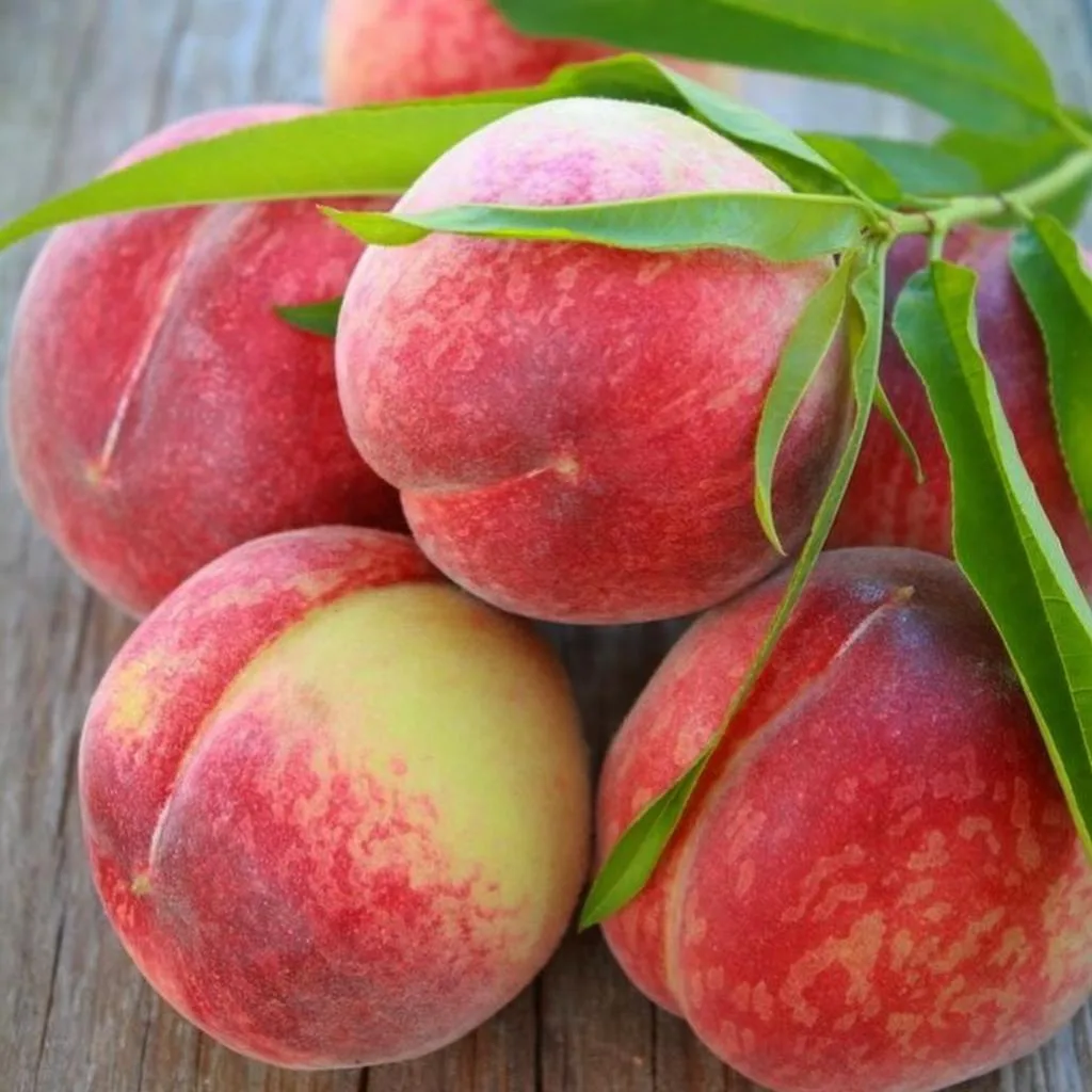 Персик Спринг Крест