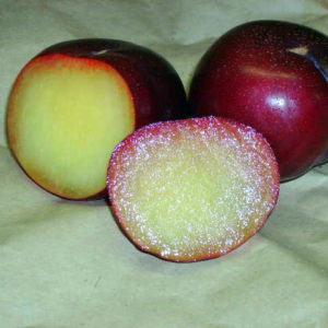 шарафуга вельвет