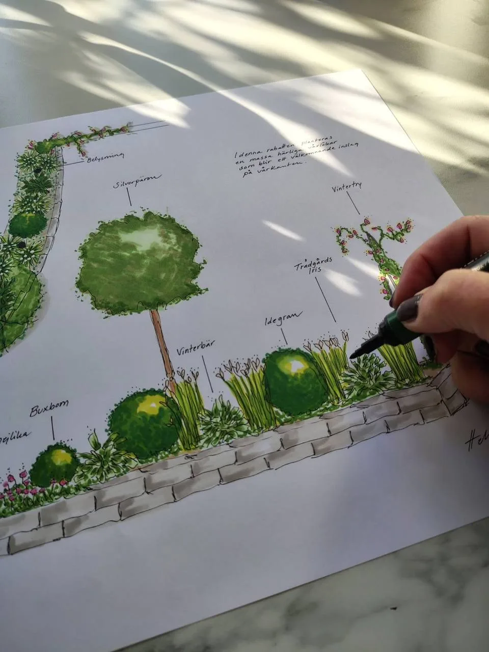 Создание схем цветника