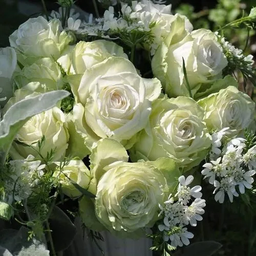 Вакана (Wakana) Кимура Япония 2006