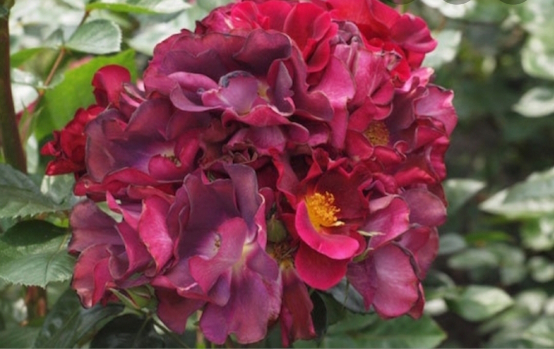 Фото 2