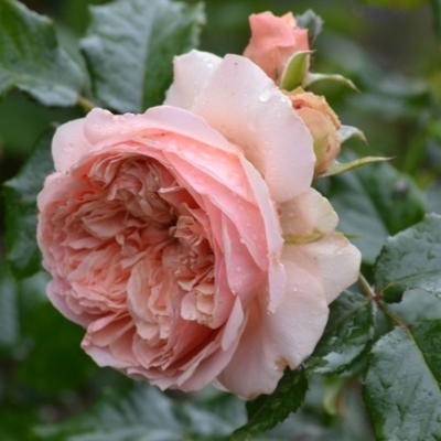 Фото 3