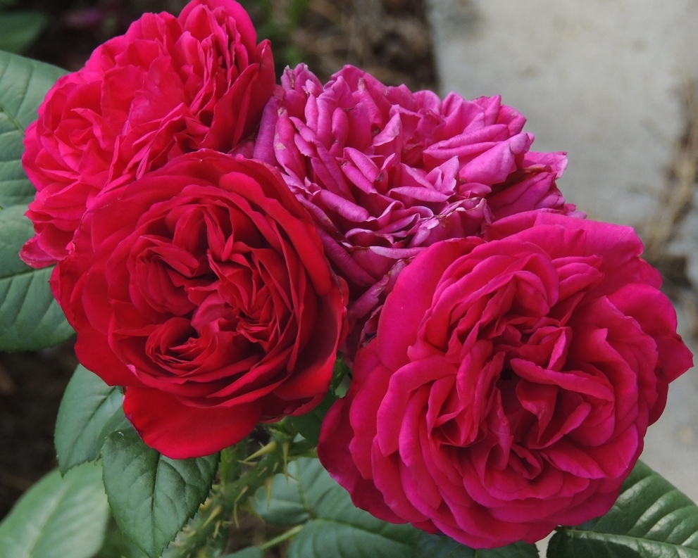 Фото 2