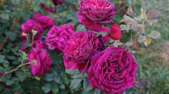 Фото 3