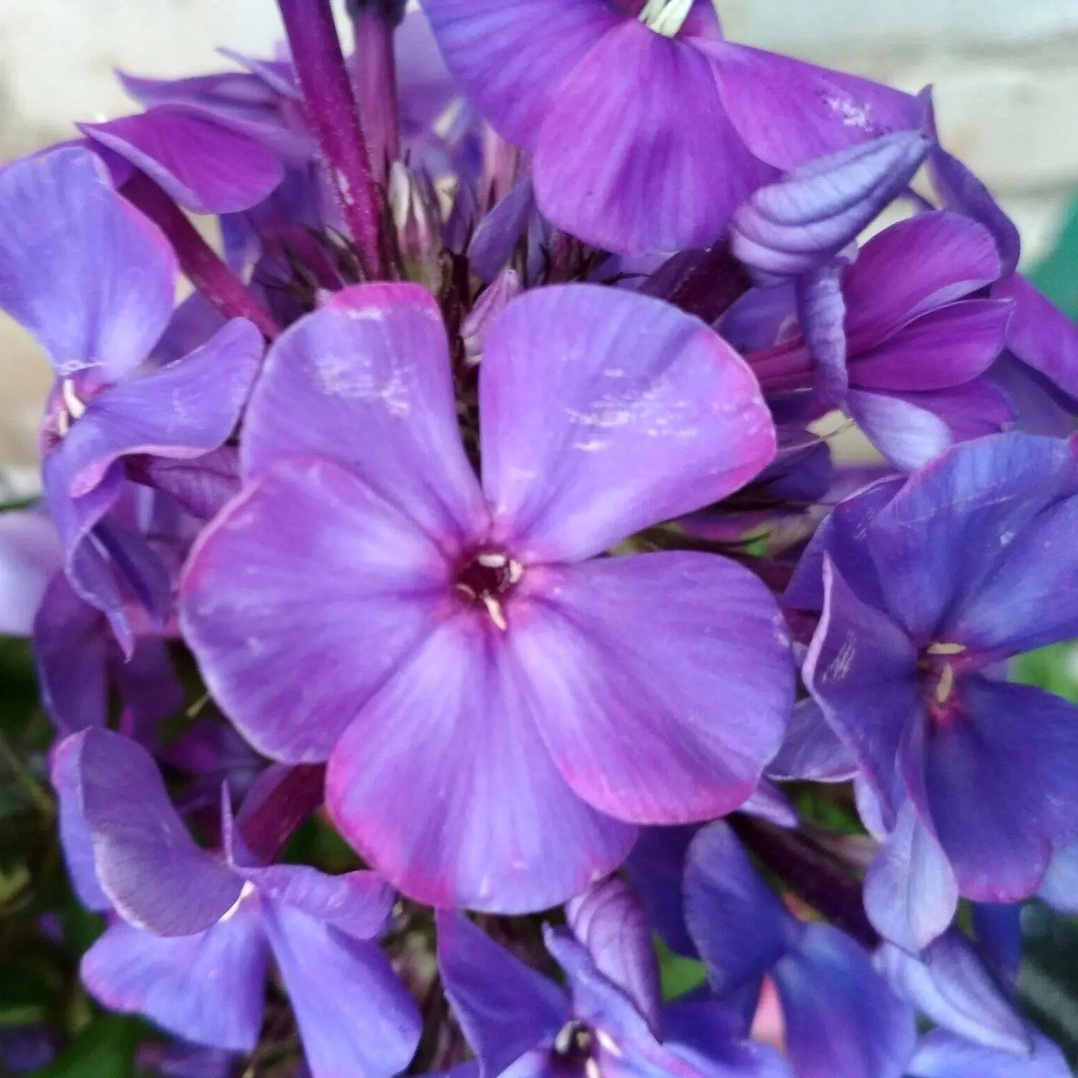 Фото 2