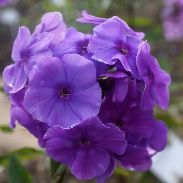 Фото 3