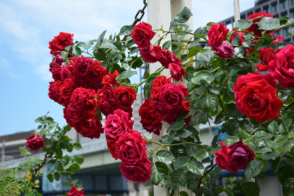 Фото 3