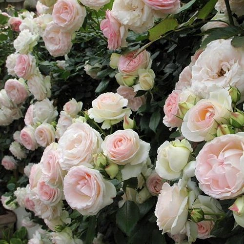 Фото 2