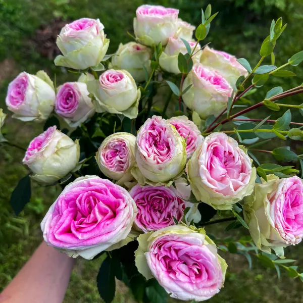 Фото 2