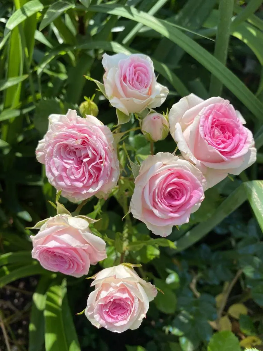 Фото 3