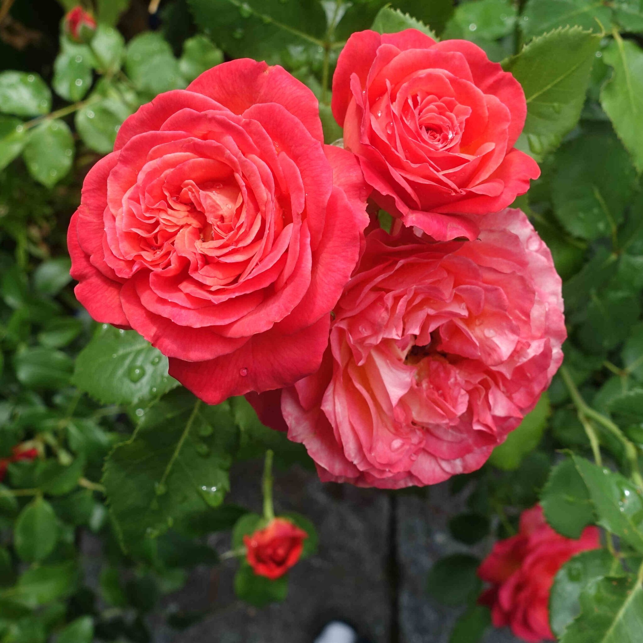 Фото 2