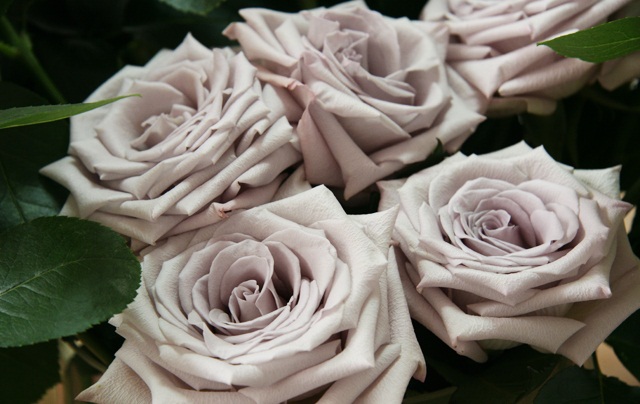 Фото 3