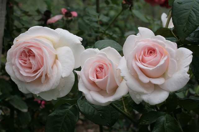 Фото 2